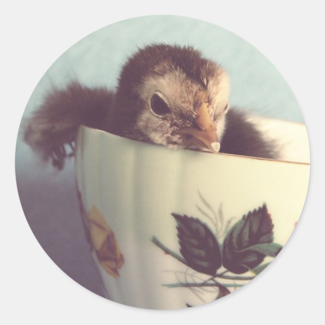 Just Chillin' Classic Round Sticker (Front)