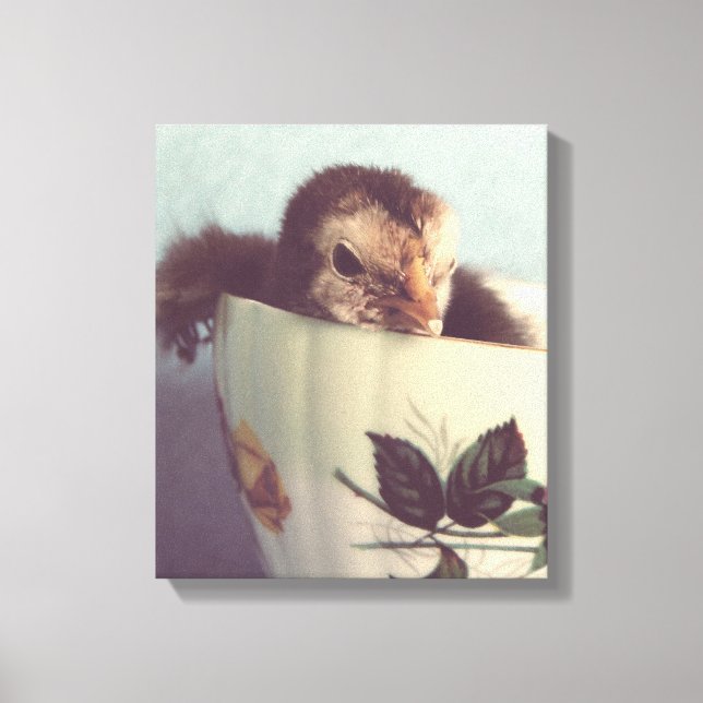 Just Chillin Here in This Teacup Canvas Print (Front)