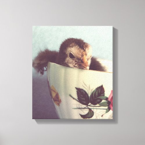 Just Chillin Here in This Teacup Canvas Print