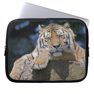 Just Chillin' Laptop Sleeve