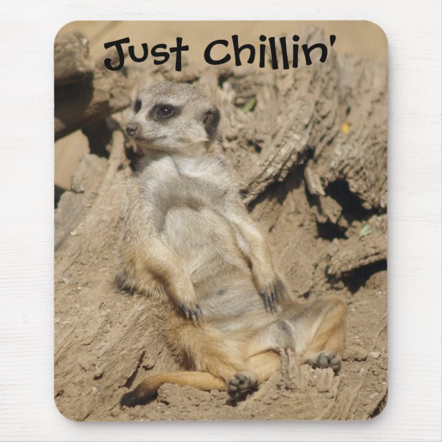 Just Chillin' Meerkat Photo Mouse Pad (Front)