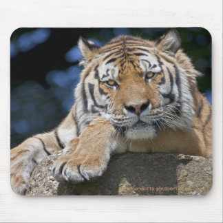 Just Chillin Mousemat Mouse Pad