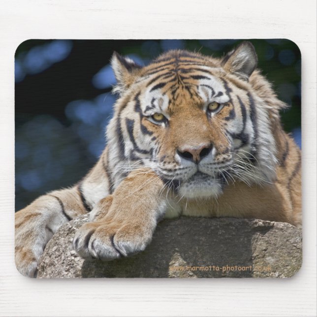 Just Chillin Mousemat Mouse Pad (Front)