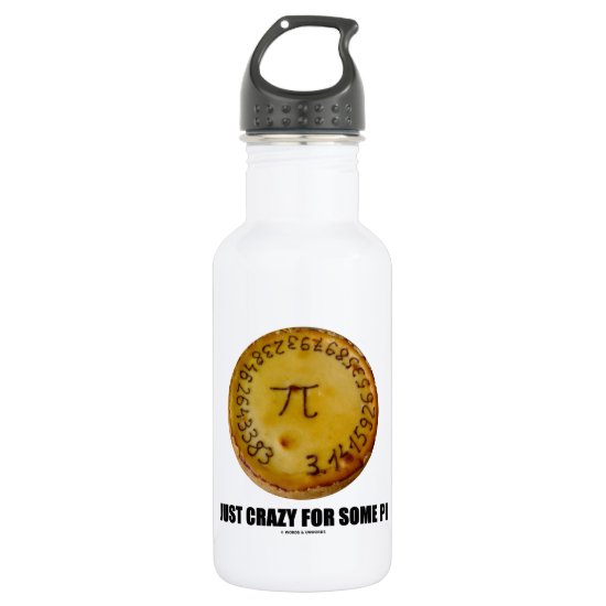 Just Crazy For Some Pi (Pi / Pie Math Humor) Stainless Steel Water Bottle