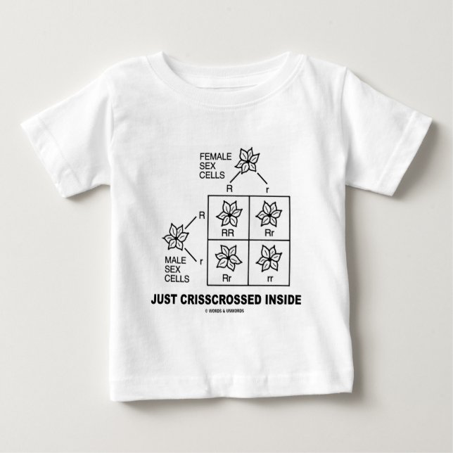 Just Crisscrossed Inside (Punnett Square Attitude) Baby T-Shirt (Front)
