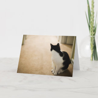 Just Curious Card