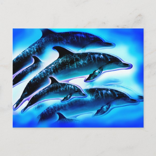 Just Dolphins Postcard (Front)
