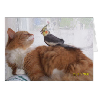 Just Dropping by to Say Hi