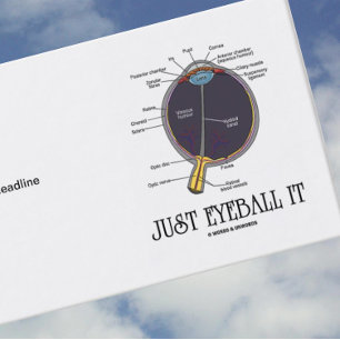 Just Eyeball It (Eye Anatomy Approximation Saying) Business Card