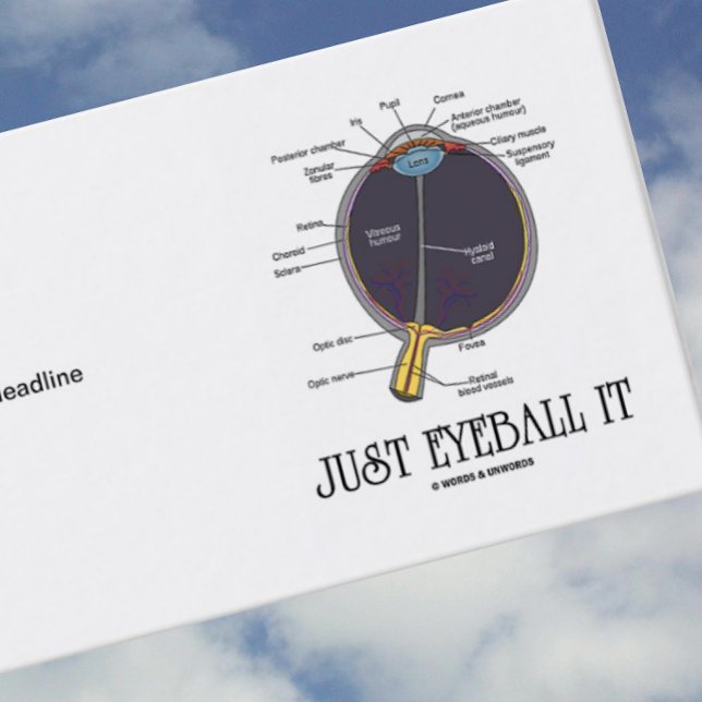 Just Eyeball It (Eye Anatomy Approximation Saying) Business Card (Business card for anyone who approximates with the anatomical advice "Just Eyeball It")
