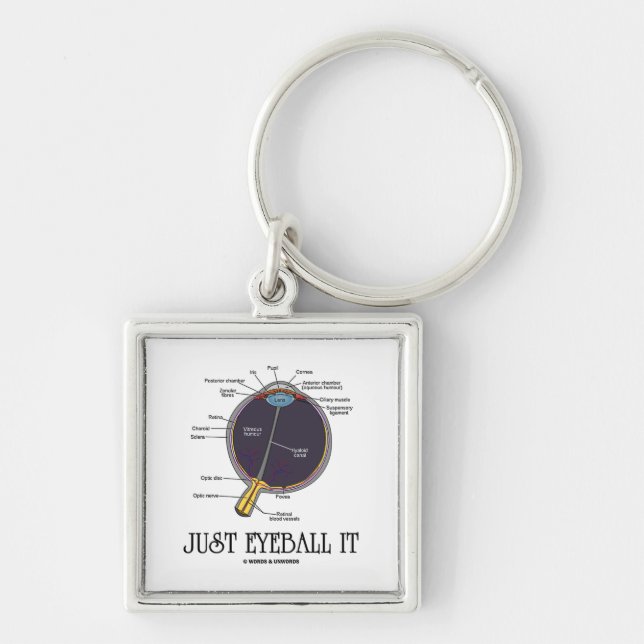 Just Eyeball It (Eye Anatomy Approximation Saying) Keychain (Front)