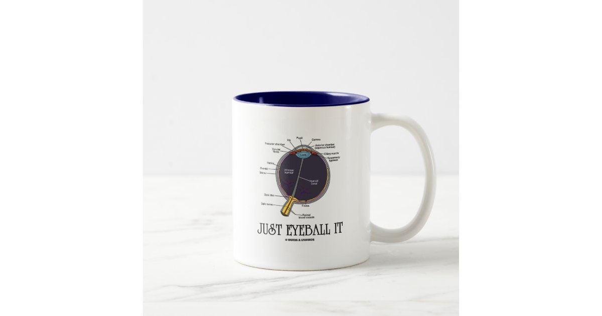 https://rlv.zcache.com/just_eyeball_it_eye_anatomy_approximation_saying_two_tone_coffee_mug-r0e32e1dcd5d3465fa51428c6e938e724_x7j10_8byvr_630.jpg?view_padding=%5B285%2C0%2C285%2C0%5D