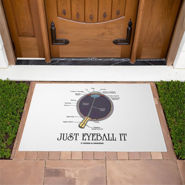 Just Eyeball It Human Eye Anatomy Geek Advice Doormat (Outdoor)