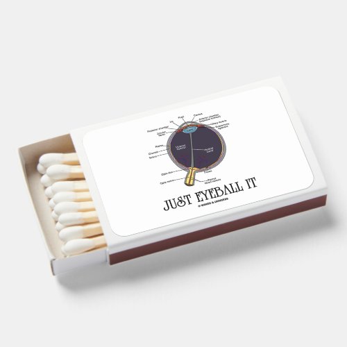 Just Eyeball It Human Eye Anatomy Geek Advice Matchboxes