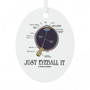 Just Eyeball It Human Eye Anatomy Geek Advice Metal Ornament