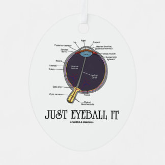 Just Eyeball It Human Eye Anatomy Geek Advice Metal Ornament