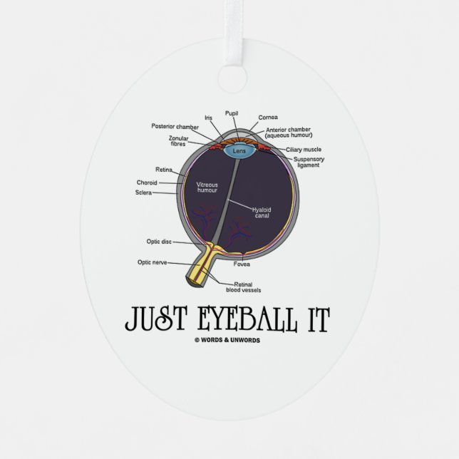 Just Eyeball It Human Eye Anatomy Geek Advice Metal Ornament (Front)