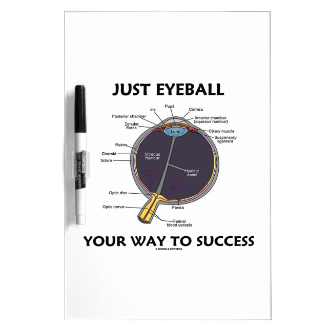Just Eyeball Your Way To Success (Eye Anatomy) Dry-Erase Board (Front)