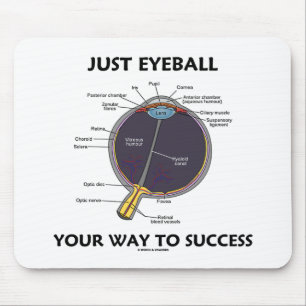 Just Eyeball Your Way To Success (Eye Anatomy) Mouse Pad