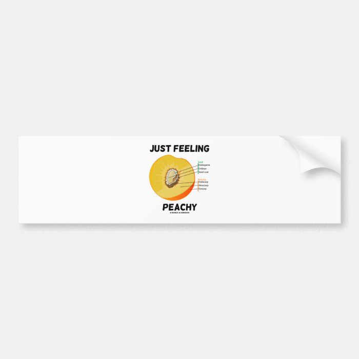 Just Feeling Peachy (Peach Anatomy) Bumper Stickers