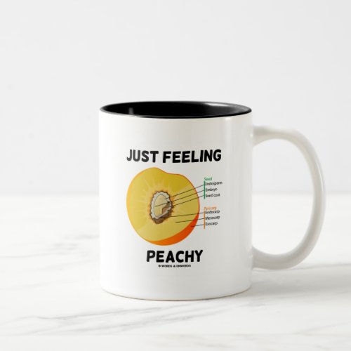 Just Feeling Peachy Peach Anatomy Two_Tone Coffee Mug