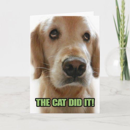 Just for Fun Guilty Golden Retriever Apology Card