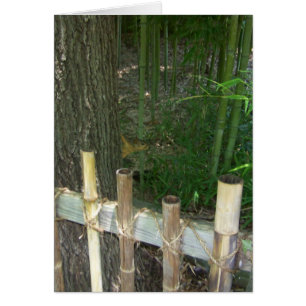 just for fun, sneaky squirrel gets caught cards