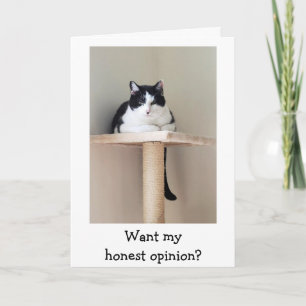 Just For Laughs Cat Cancer Support Card