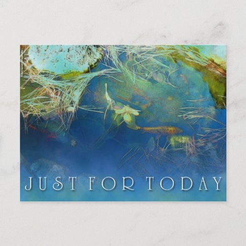 Just For Today Koi Pond Postcard