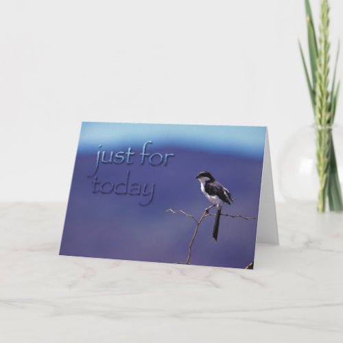 Just For Today Recovery Bird Support Card