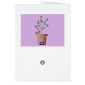 Just for you Daughter-in-law: (Back)