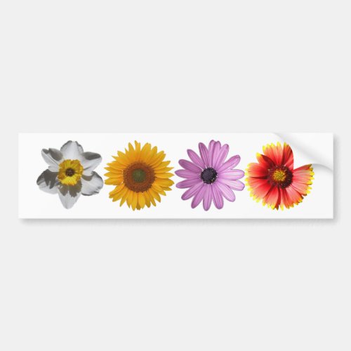 Just Four Flowers  Floral Photo Bumper Sticker