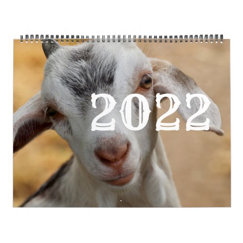 Just Goats 2022 Calendar