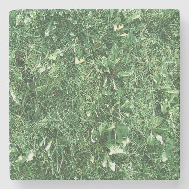 Just Grass Stone Coaster (Front)
