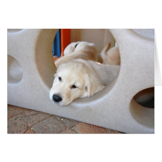 Just Hangin' Card (Front Horizontal)