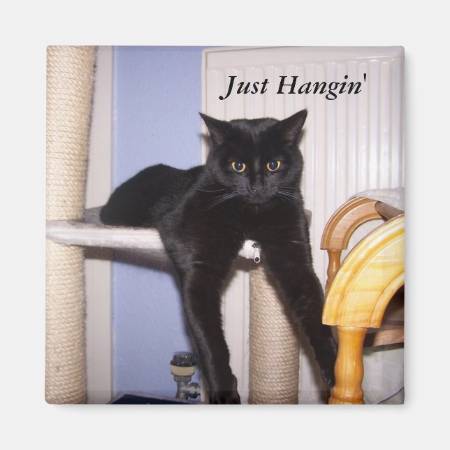 Just Hangin' Magnet (Front)