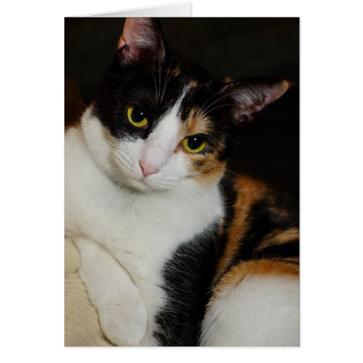 Just Hanging Around (Front)