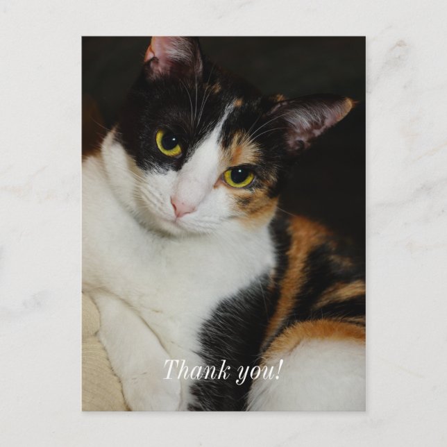 Just Hanging Around Thank You Postcard (Front)