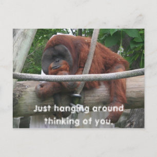 Just hanging around thinking of you. postcard