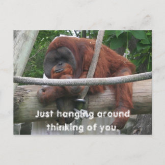 Just hanging around thinking of you. postcard