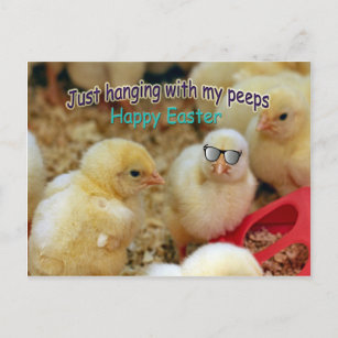 Just Hanging with my Peeps Postcard