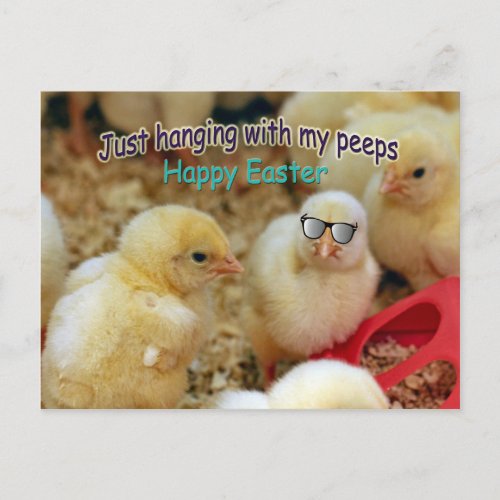 Just Hanging with my Peeps Postcard