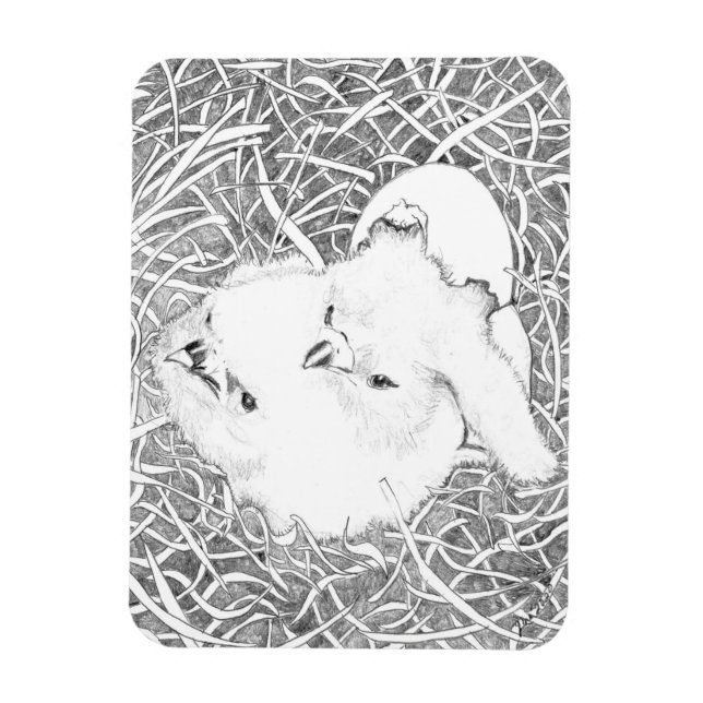 JUST HATCHED EAGLETS E15 + E16 WANTING BREAKFAST MAGNET (Vertical)