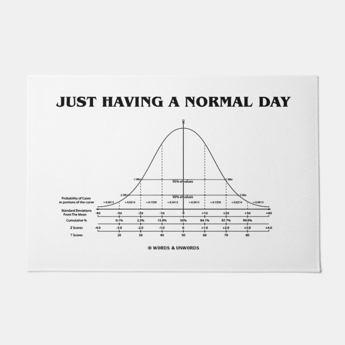 Just Having A Normal Day Statistics Geek Humor Doormat Zazzle Com