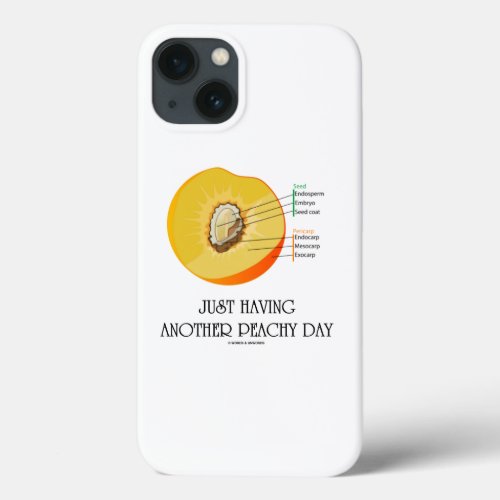 Just Having Another Peachy Day Peach Anatomy iPhone 13 Case