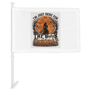 Just Here Boos Halloween Witch Moon Pumpkins_1 Car Flag