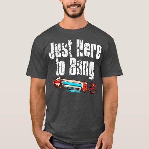 Just Here To Bang Fireworks Memorial Day Funny T_Shirt