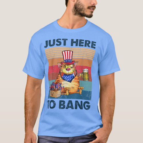 Just Here To Bang Funny Cat American Beer Lover Vi T_Shirt