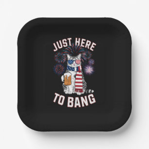Just Here To Bang USA Flag Beer Cat Lover July 4th Paper Plates
