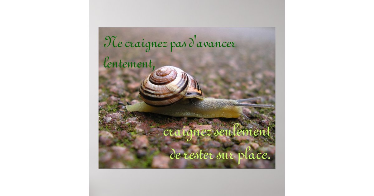 Just keep going! French Poster Zazzle